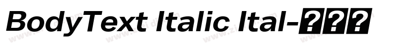 BodyText Italic Ital字体转换